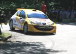 RALLY  DEL TICINO 2010